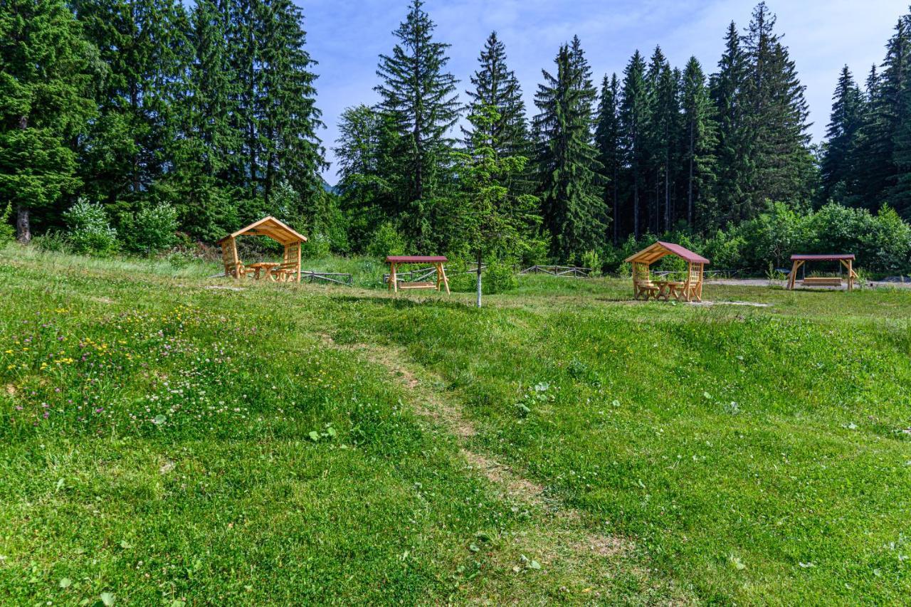 Pine Woods Studio D113 In Silver Mountain Пояна-Брашов Екстер'єр фото